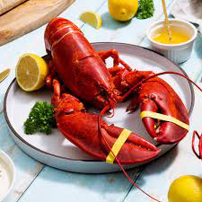 Lobster - استاكوزا