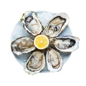 Oyster