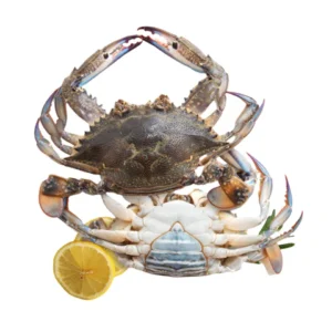 Crab